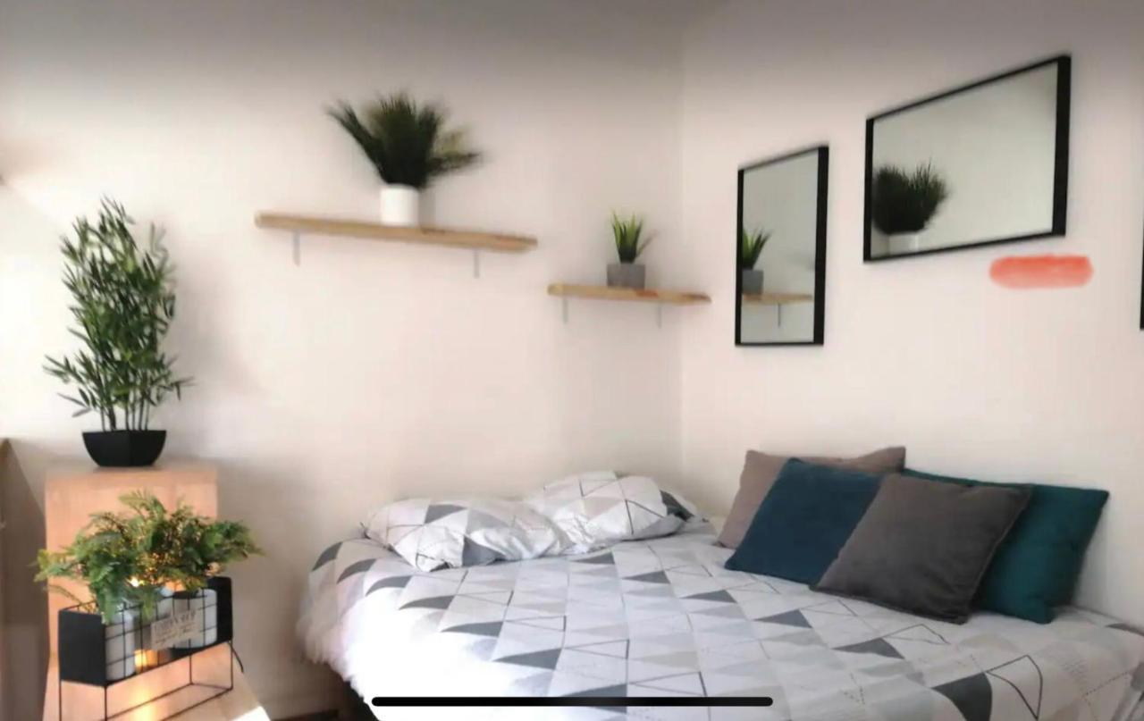Studio Chaleureux Le Coeur -Troyes Centre Ville エクステリア 写真